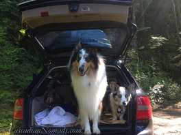 Cascadian Nomads traveling canines waiting for their 