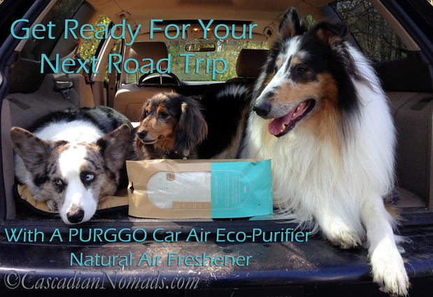 Get ready for your next pet friendly road trip with a PURGGO Car Air Eco-Purifier Natural Air Freshener 