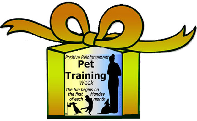 Positive Reinforcement Pet Training Badge Gift