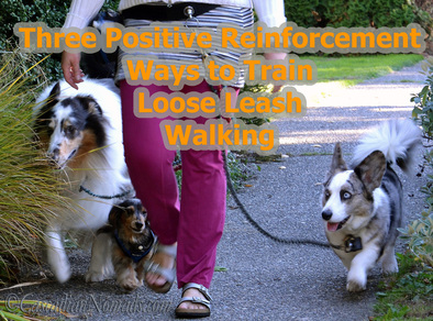 Three Positive Reinforcement Ways To Train Loose Leash Walking. #Dog #Dogs #DogWalkingWeek